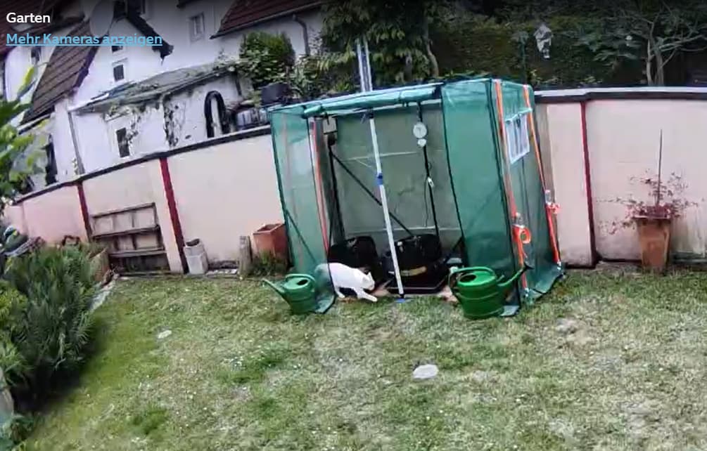 Growreport Bild 7