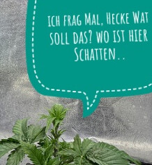 Heckes Notizbuch: 3-Liter müssen reichen!