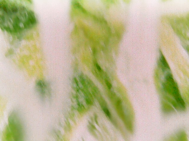 WIN_20241115_13_07_06_Pro