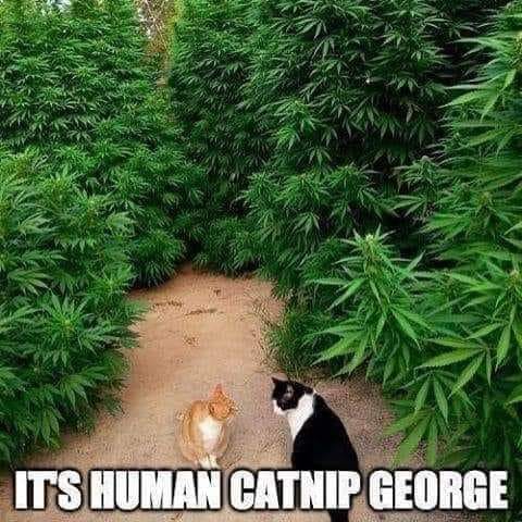 357760823_10231095666716183_6128748110948841629_n