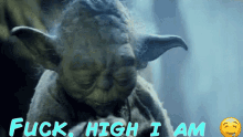 High Yoda GIFs Tenor