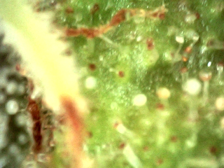NextCamera_20250905_123413