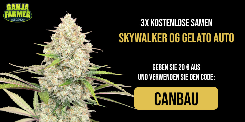 skywalker3x