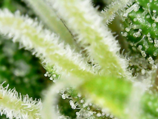 20240209_12_33_27_Pro