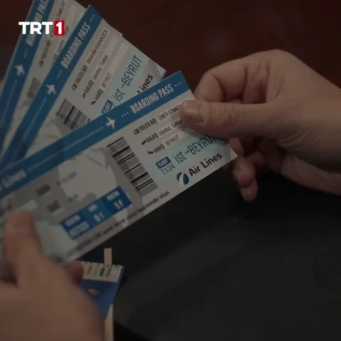 Travel Fly GIF by TRT