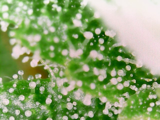 20240214_15_42_17_Pro