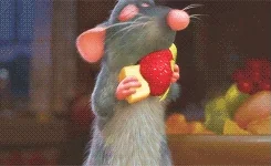 Food Eating GIF