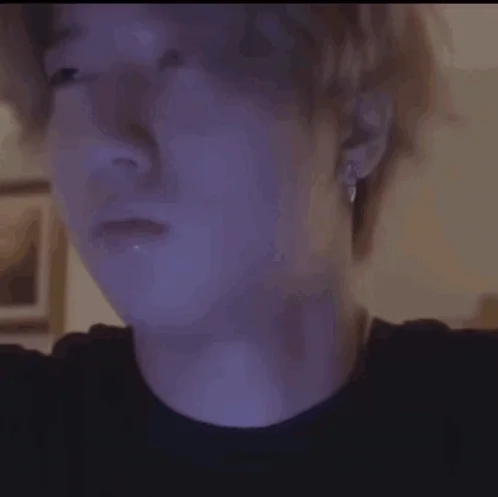 Stray Kids Skz GIF