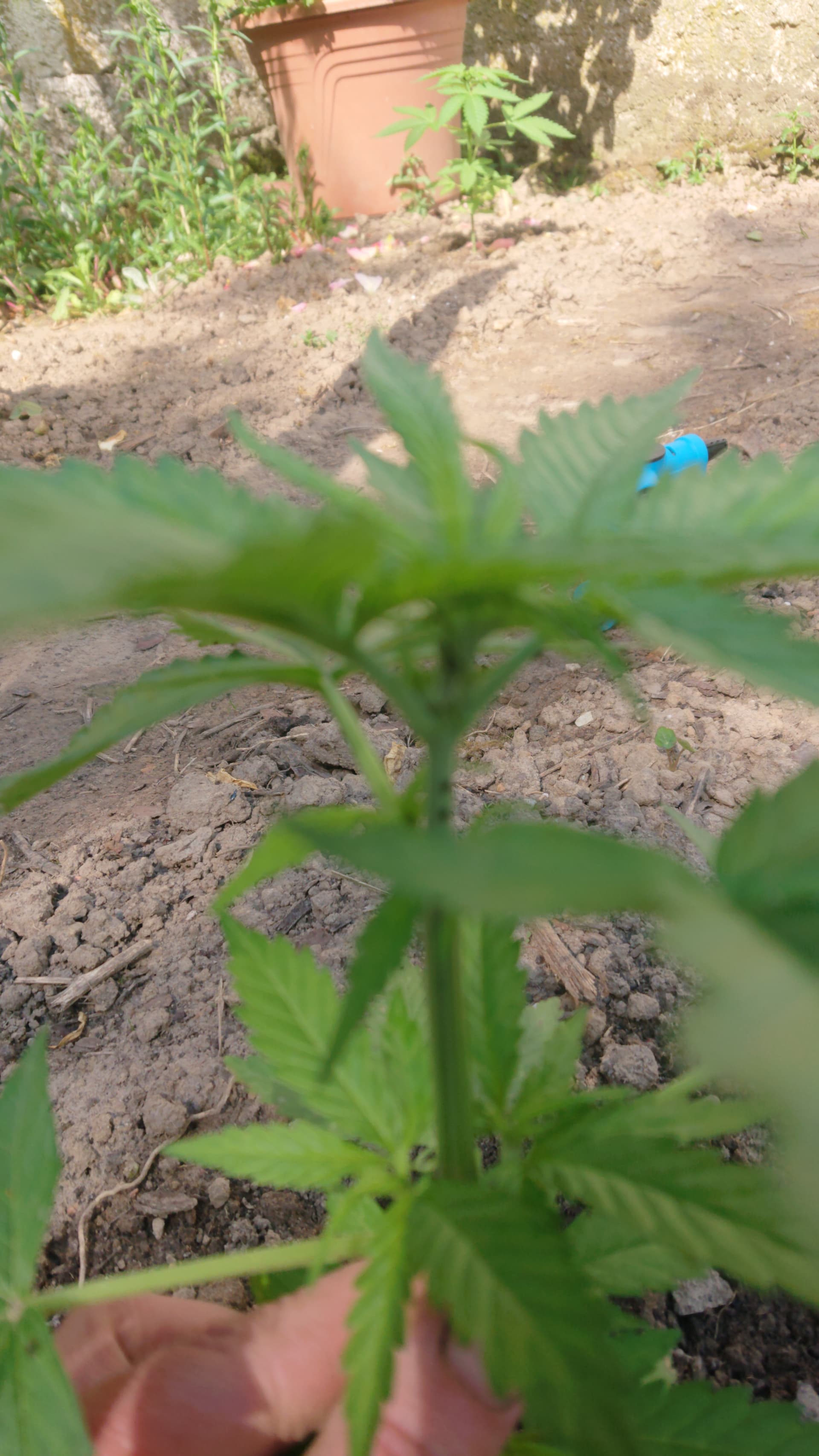 DSC_0000_BURST20240520153723337