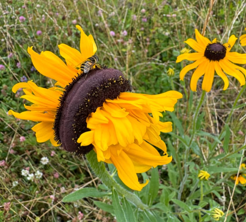 Screenshot 2025-05-21 213556