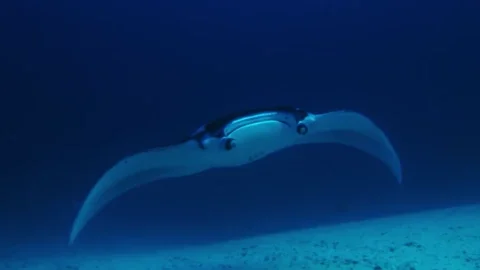 - Find & Share on GIPHY