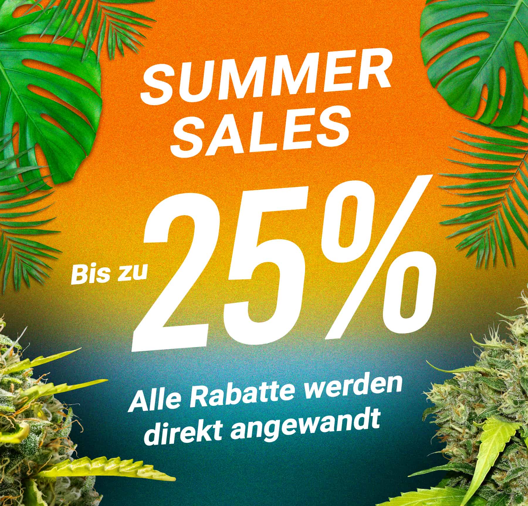 Promo visual