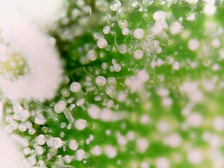 20240214_15_40_35_Pro