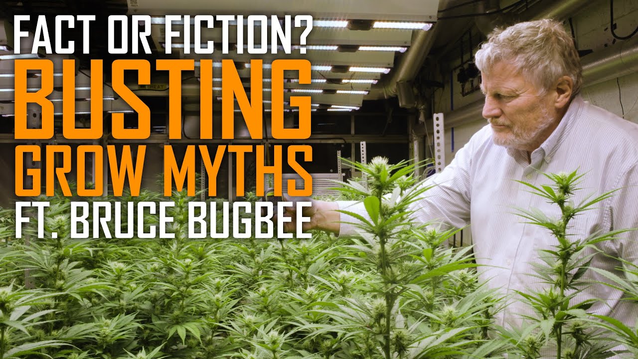 Busting Cannabis Grow Myths With Prof. Bruce Bugbee