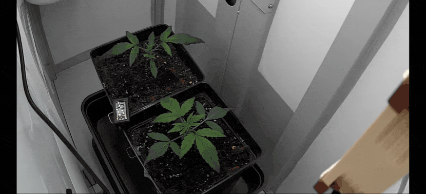 GIF_20250107_075410_063