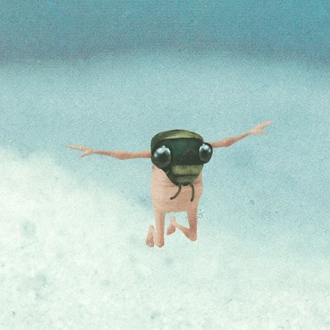 flying new life GIF by antonio vicentini