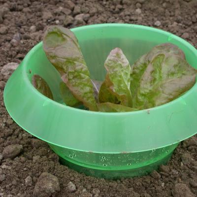 schneckenkragen_pp_schneckenstopp_gruen_b