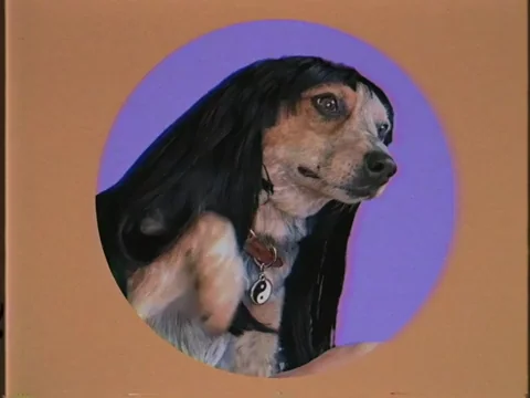 Happy Dog GIF by GIPHY Studios 2021
