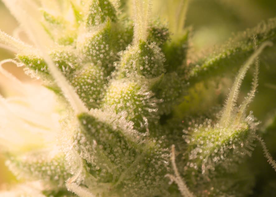 Bildschirmfoto vom 2025-09-21 13-52-06