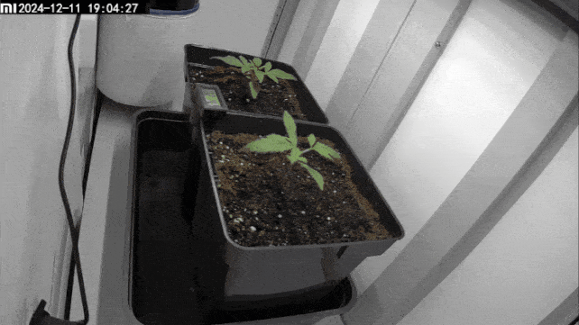 GIF_20250113_132848_243