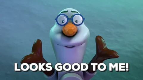 looking good northern lights GIF by LEGO