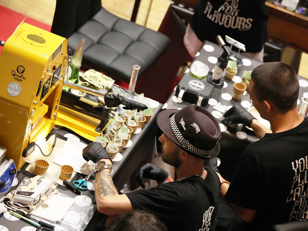 cf24_bildergalerie_13