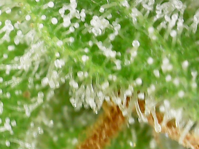 S20250717_0005