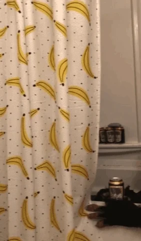 Beer Monkey GIF by Straight to Ale