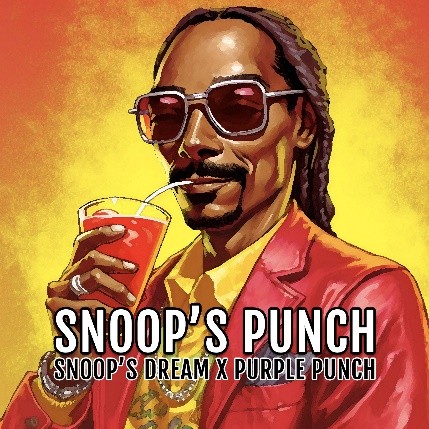 snoops-punch