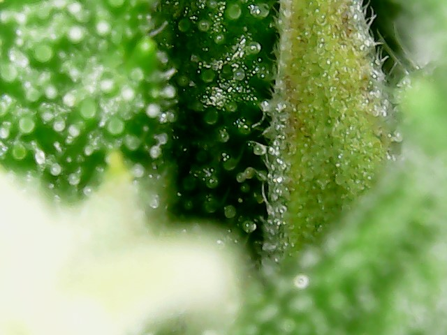WIN_20240605_17_04_40_Pro