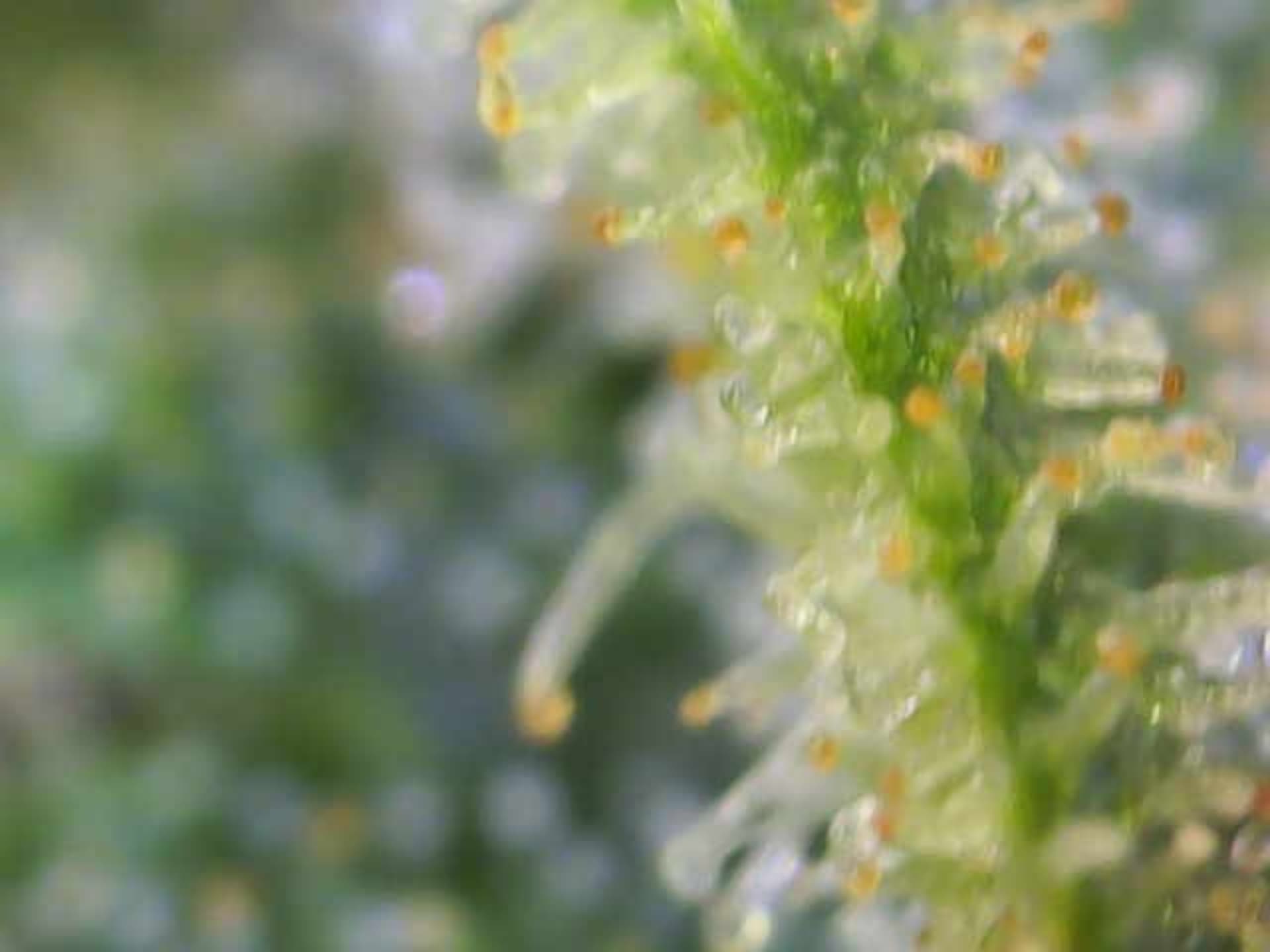 Image_2024-07-15 11_00_45_165