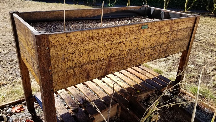 17587400472611130159585951491671