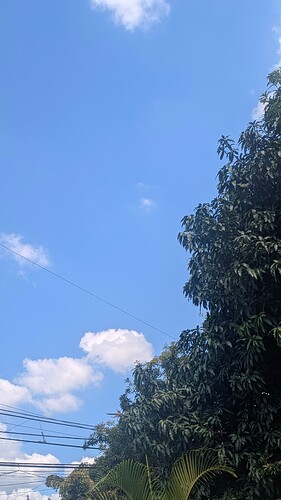 PXL_20250217_161014520