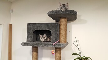 20170125_2050221