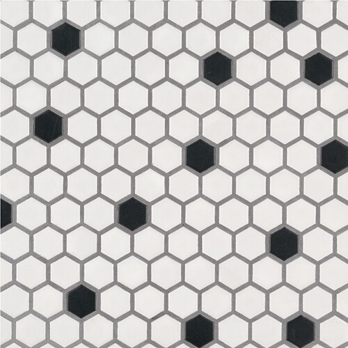 black_and_white_1x1_hexagon_matte_porcelain_tile_3__1-2784122169