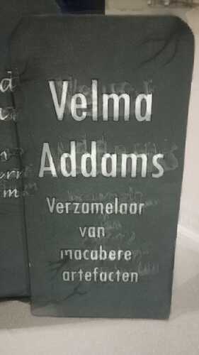 Afbeelding van WhatsApp op 2025-01-20 om 17.20.30_878860f8