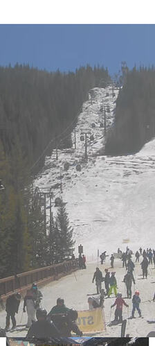 Screenshot_20260319-135936