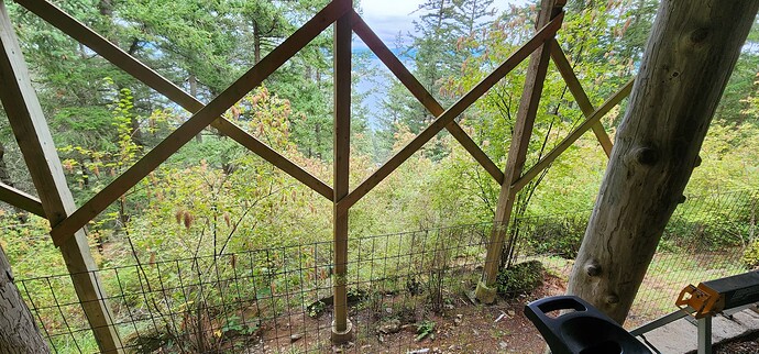 17243670077194182393994556228371