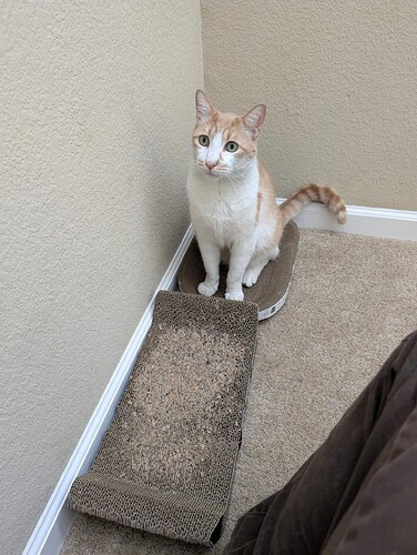 PXL_20251012_180708099