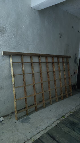 IMG20260924200338