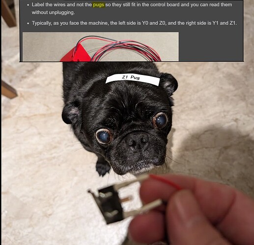 z1_pug