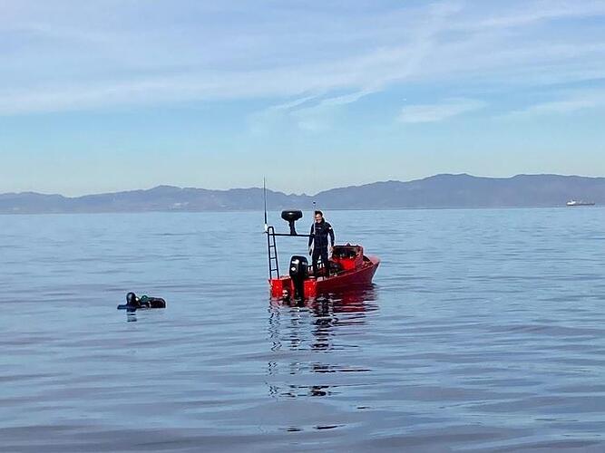 IMG_20250123_173447_586