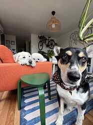 att.m-DDIY0qEtdEsM5uSvgAUCoUoCq79nwD7ah42qL5MUs