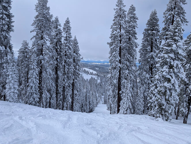 PXL_20260220_193600437