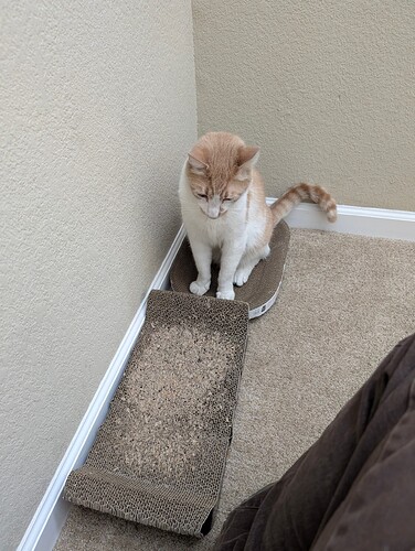 PXL_20251012_180705027