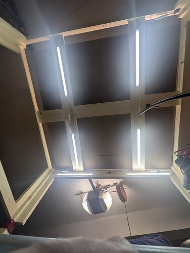 Lights