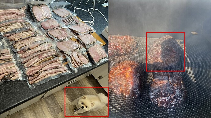 Dog Meat