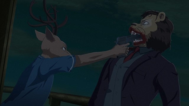 49662270071_89741678cd_o