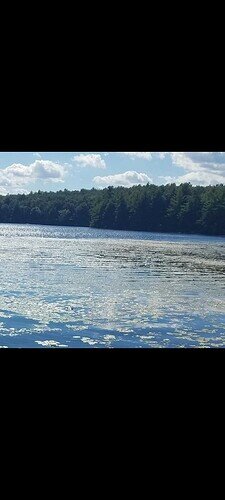 Screenshot_20210315-123705_Gallery