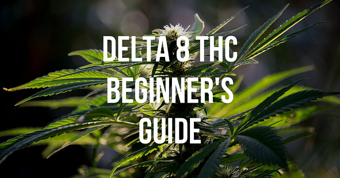 Delta 8 THC Beginner's Guide